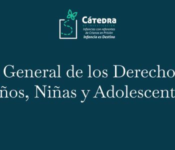 Ley General de los Derechos de Niños, Niñas y Adolescentes