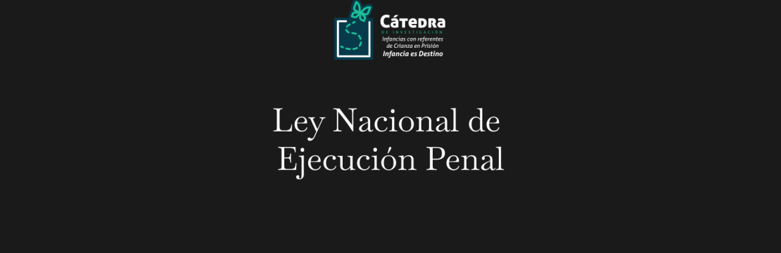 Nueva Ley Nacional de Ejecución Penal