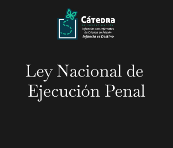 Nueva Ley Nacional de Ejecución Penal