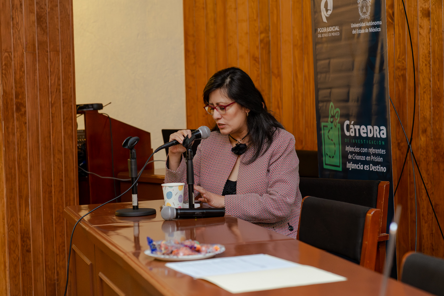 catedra-infancias-sesion-6-25-ano2