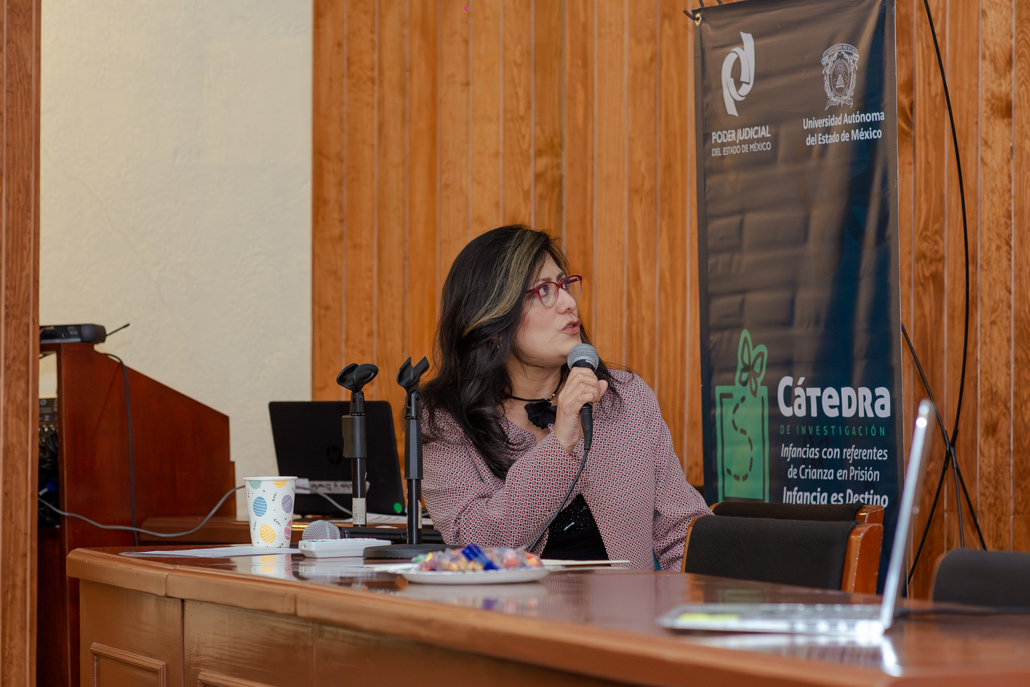 catedra-infancias-sesion-6-30-ano2